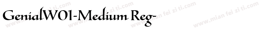 GenialW01-Medium Reg字体转换